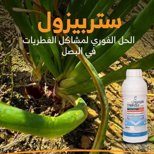 ستربيزول