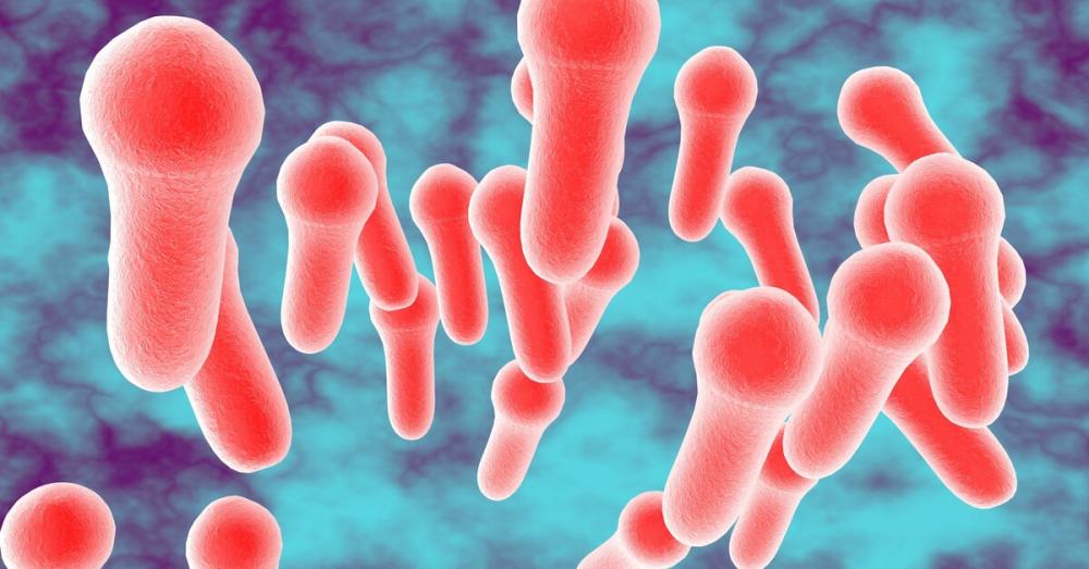 botulismus (botulinismus)