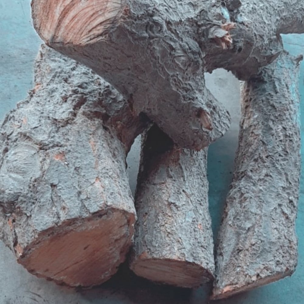Bois de chauffage en caryer