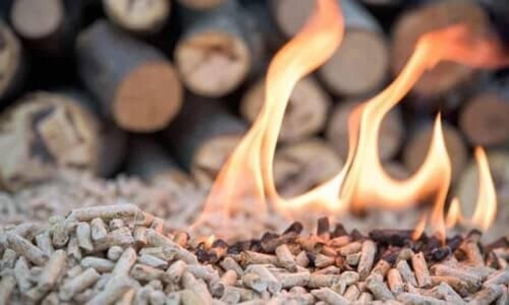 Avantages environnementaux de l&#39;utilisation du bois de chauffage comme source d&#39;énergie : solutions durables pour réduire les émissions et améliorer la biodiversité