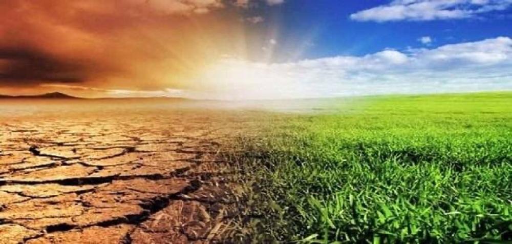 Changements climatiques apparus en Arabie Saoudite