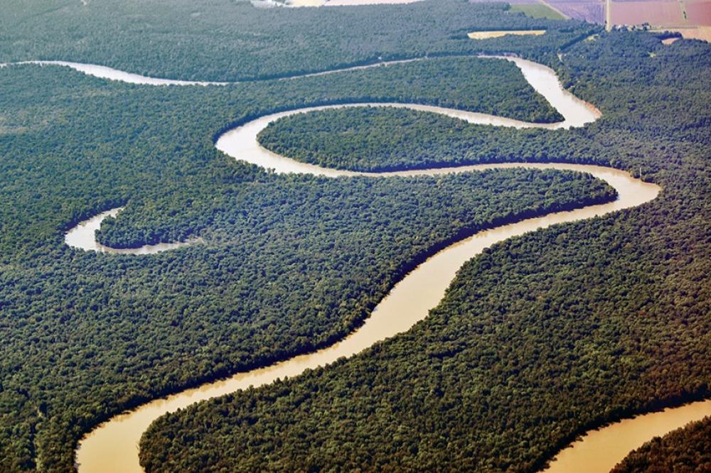 Rivers: the arteries of life on Earth