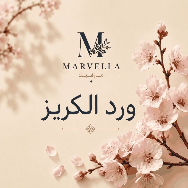 ورد كريز (سانتيني) الطبيعي — كل الألوان