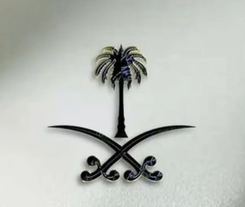 اليوم الوطني 95