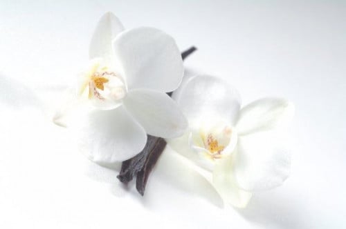 زيت عطري برائحة الفانيلا