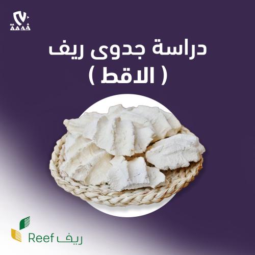 دراسة جدوى ريف ( الأقط )