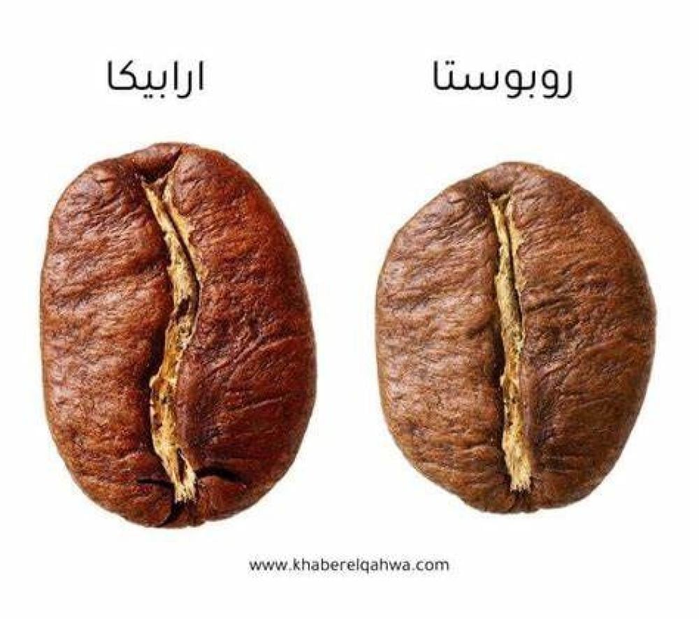 الفرق بين القهوة الأرابيكا والروبستا
