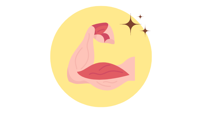 أسماء العضلات