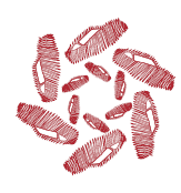 مزاد الرياحين