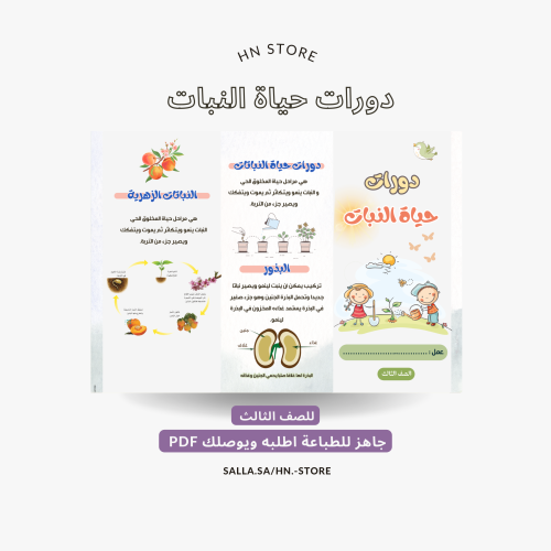 مطوية دورات حياة النبات للصف الثالث PDF