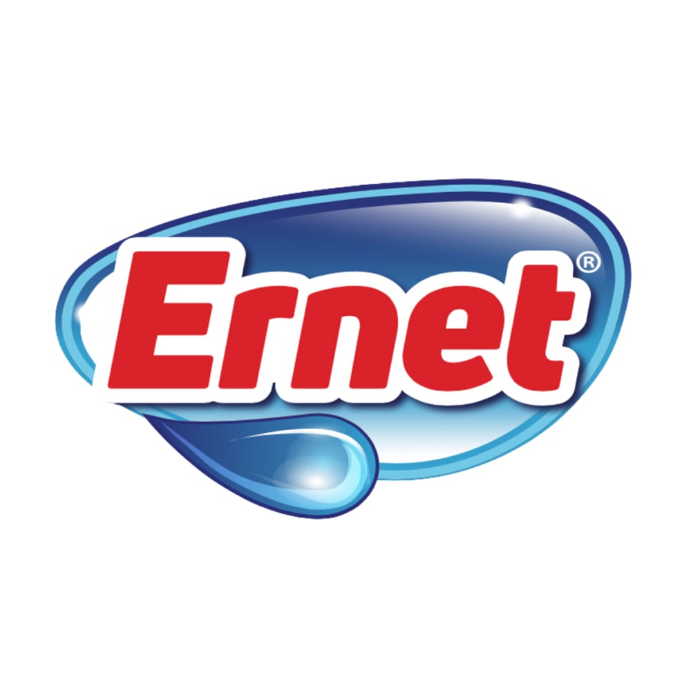 إيرنت | Ernet