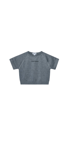 SUBSTRATUM CROP TOP GRAY