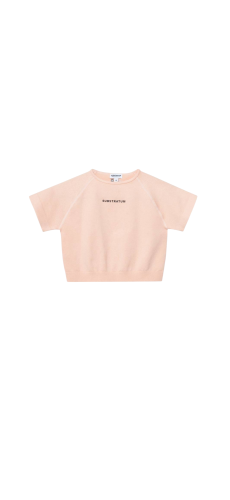 SUBSTRATUM CROP TOP PEACH