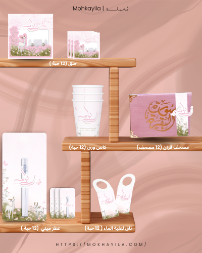 بكج استقبال بيبي أريام