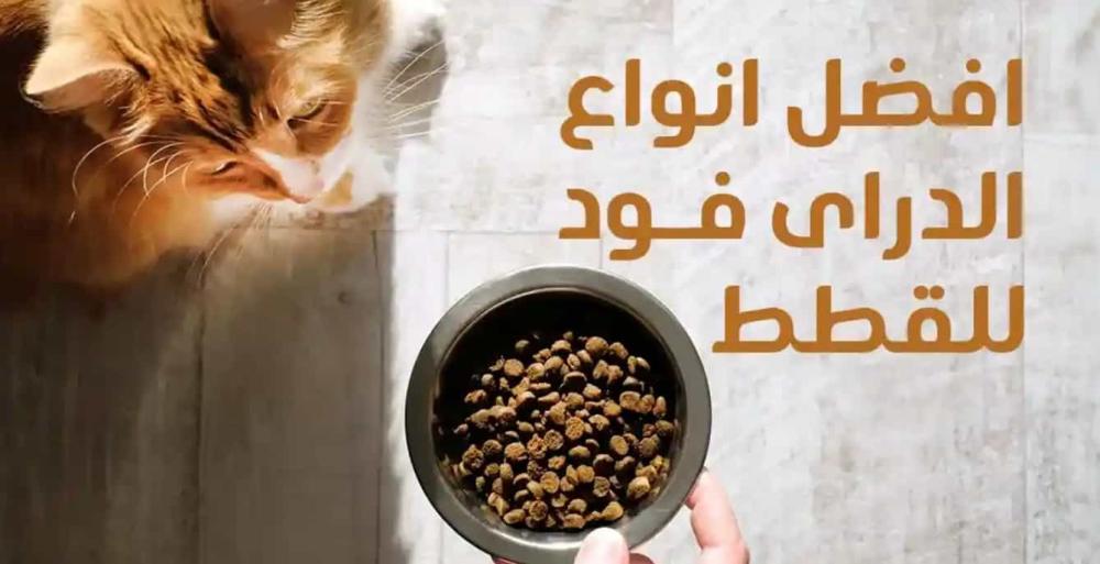 أنواع الدراي فود للقطط — الفرق بين كل نوع وما يناسب قطتك