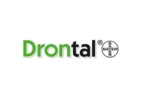 Drontal