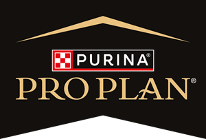 Pro Plan
