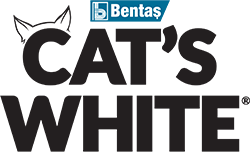 Cat's White