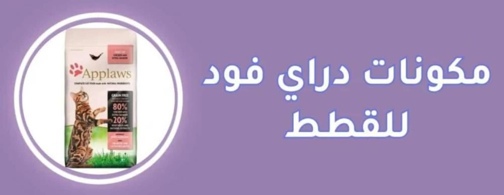 مكونات الدراي فود — ماذا تأكل قطتك فعلاً؟