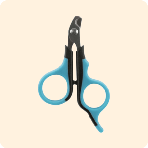 العناية بالأظافر