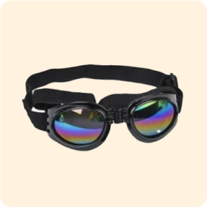 الملابس وإكسسواراتها