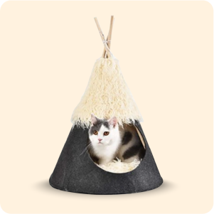 الاقفاص والبيوت