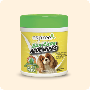 العناية بالأذن