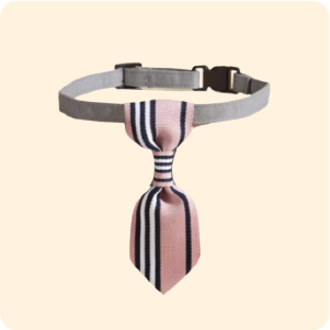 الملابس وإكسسواراتها