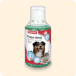 العناية بالأسنان