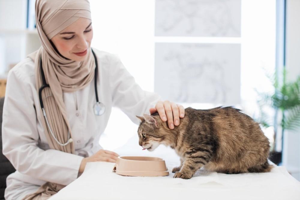 لماذا تحتاج بعض القطط والكلاب الطعام البيطري؟