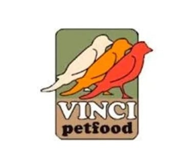 Vinci