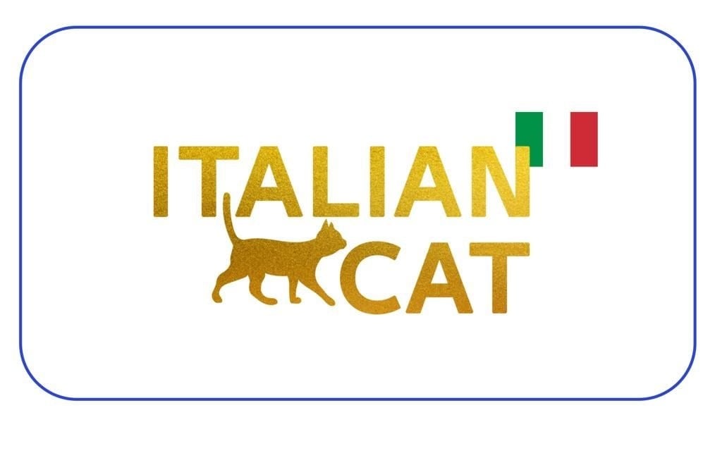 Italian Cat
