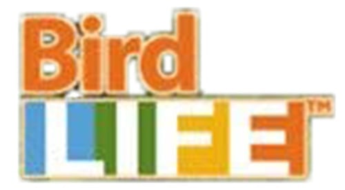 Bird Life