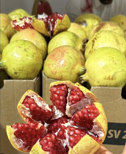 20 كيلو حبات كبيره فاخره