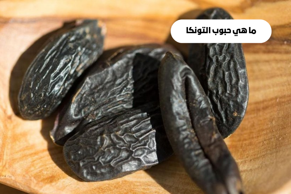 ما هي حبوب التونكا اكتشف سر النكهة العطرية وفوائدها المتعددة