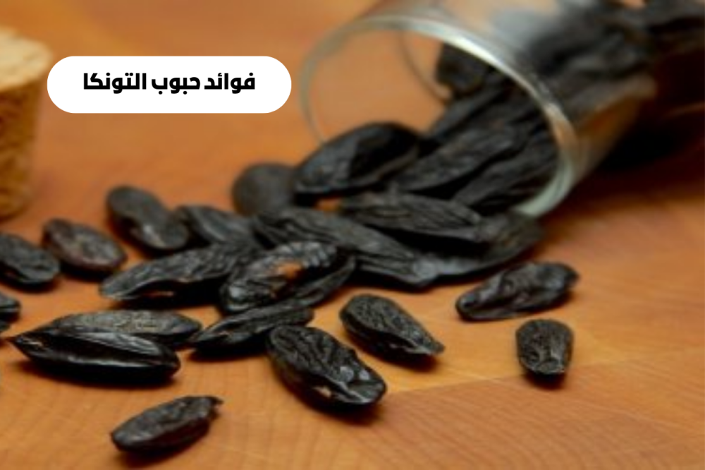 فوائد حبوب التونكا كنوز طبيعية في خدمة الصحة والجمال