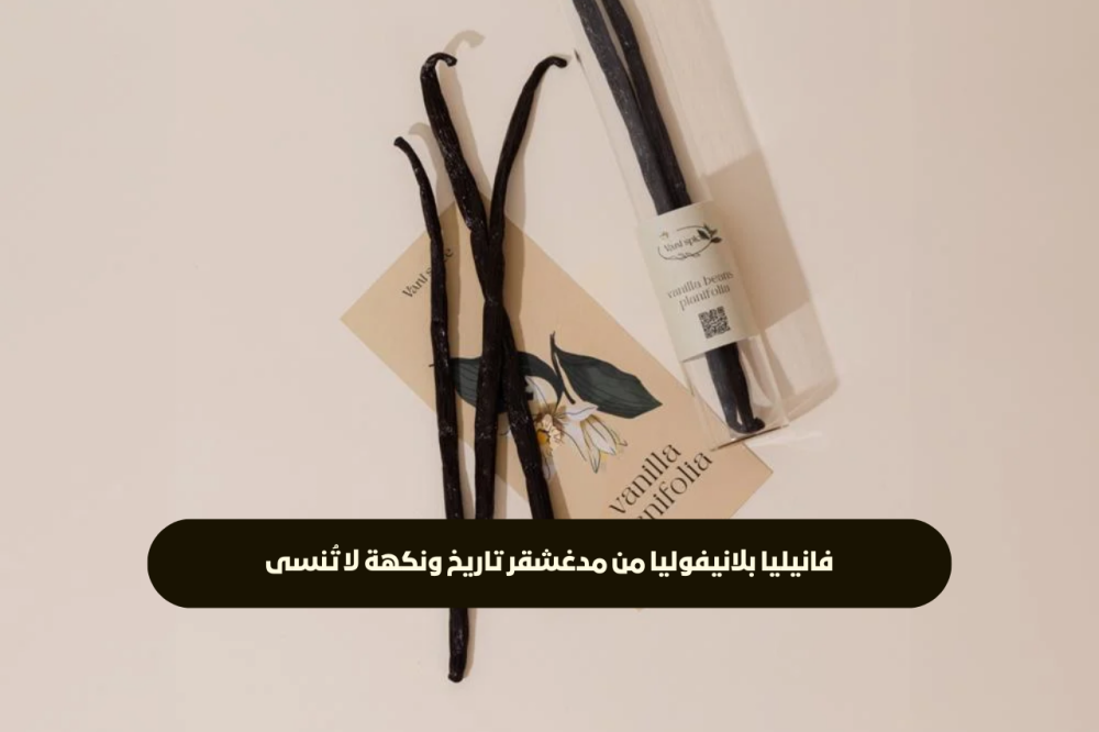 فانيليا بلانيفوليا من مدغشقر تاريخ ونكهة لا تُنسى