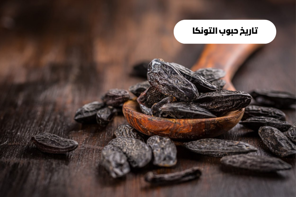 تاريخ حبوب التونكا رحلة عبر الزمن والنكهات