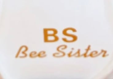 BS BEE SISTER