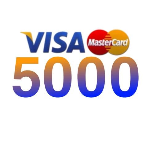 Visa/5000