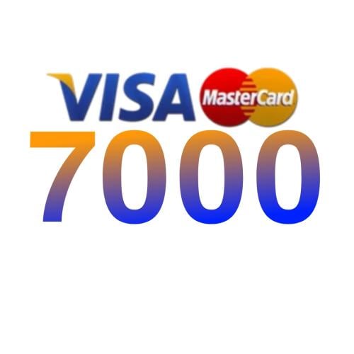 Visa/3000