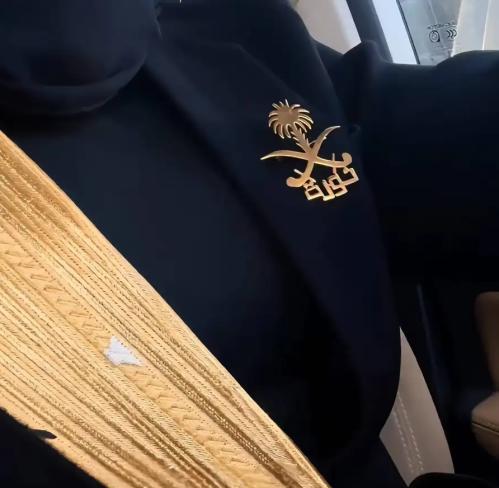بروش سيفين ونخلة