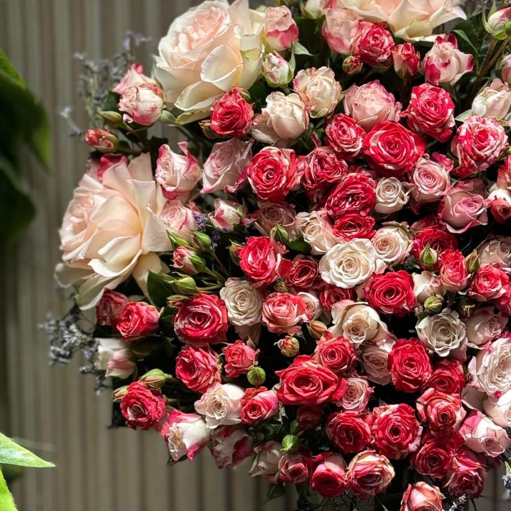 فازة ورد حجم يواجه