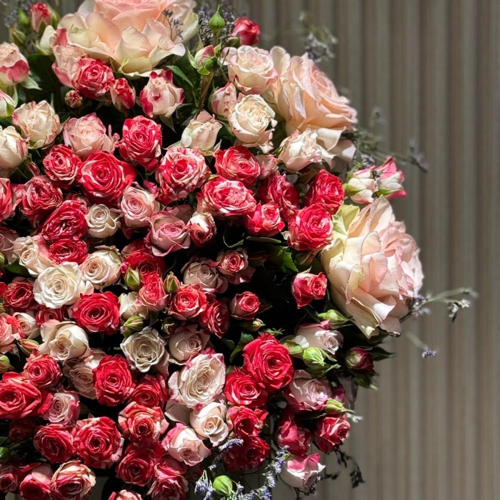 فازة ورد حجم يواجه