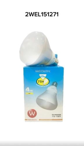 كبسولة WELL R 80   15w 110v E27 DL