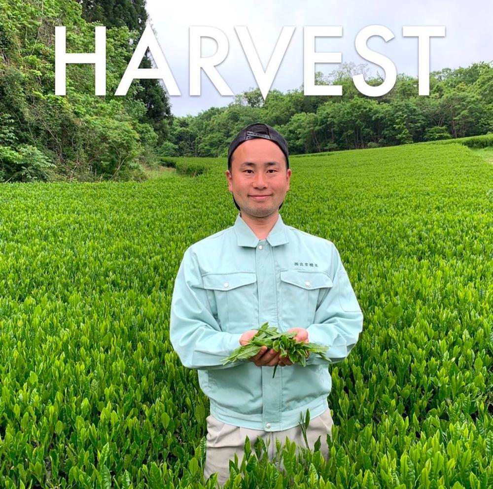 من اليابان إلى السعودية