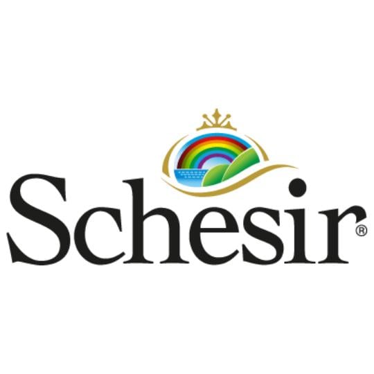 Schesir