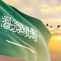 المناسبات الوطنية