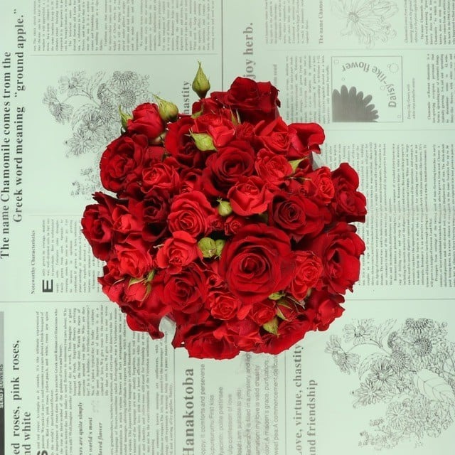 تنسيقات ورود