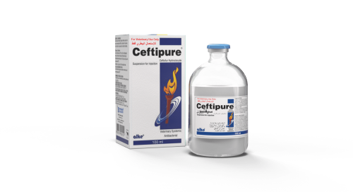 Ceftipure-سيفتبيور 50 مل التركي